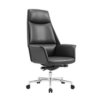 Aqua executive chair