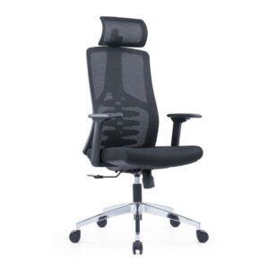 Aero Ergonomic Chair