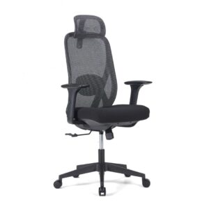 Mailo Ergonomic Chair