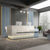 Rayan reception desk