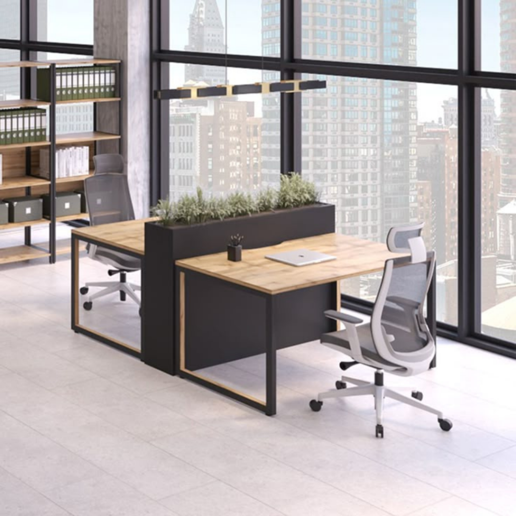 Aqua Workstation Desk - Stylish, Ergonomic & Space-Saving!