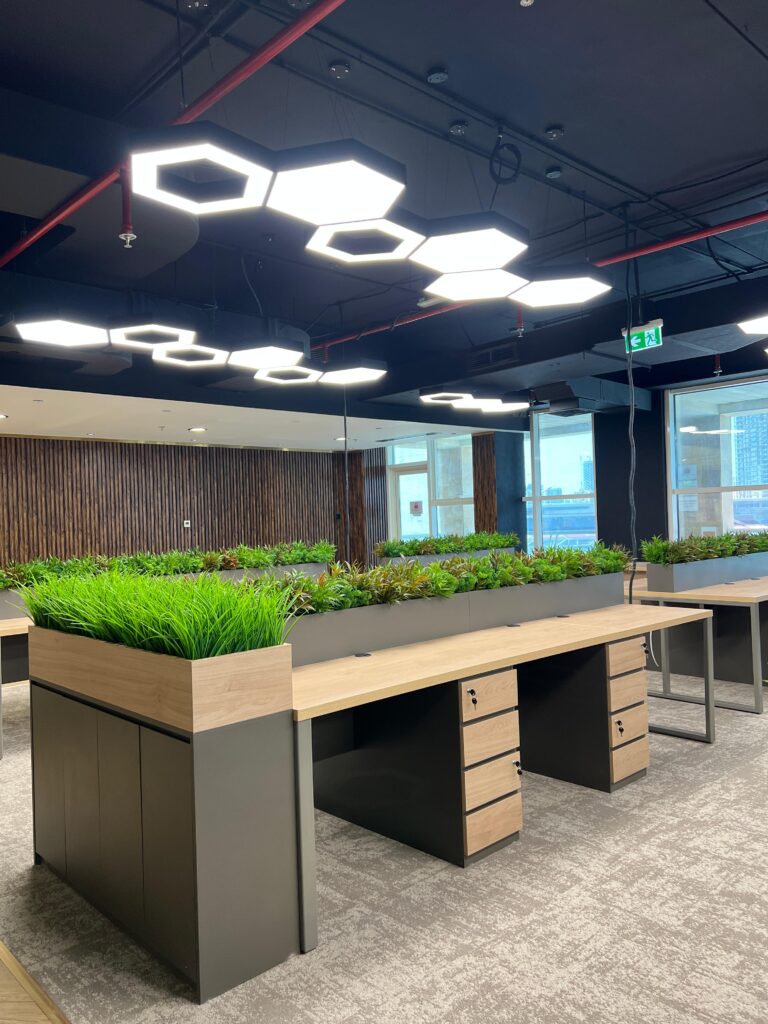 Delivered project