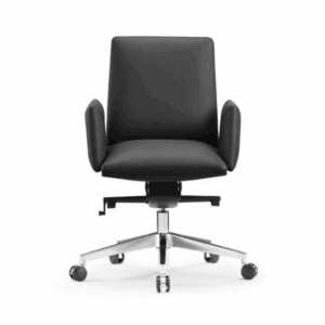 Paris Meeting Chair